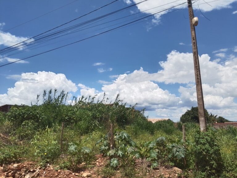 WhatsApp Image 2026-02-18 at 21.43.52 (2)