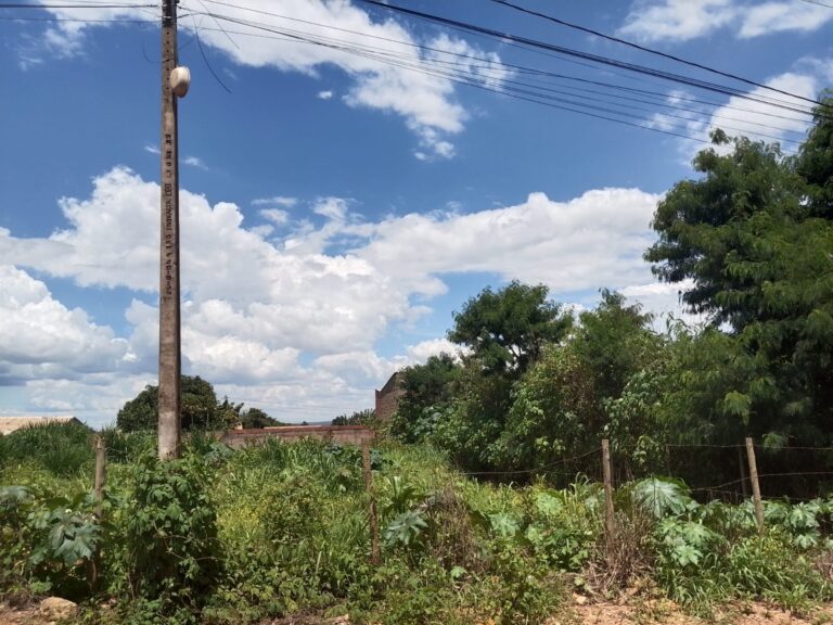 WhatsApp Image 2026-02-18 at 21.43.53