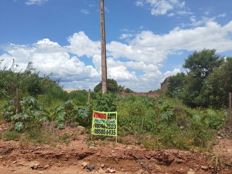 WhatsApp Image 2026-02-18 at 21.43.54 (1)