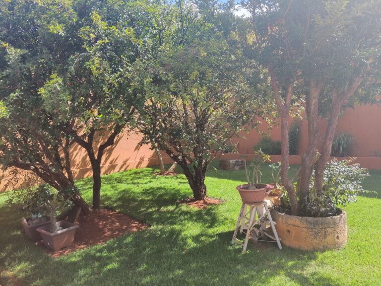 WhatsApp Image 2026-04-13 at 09.07.51 (3)