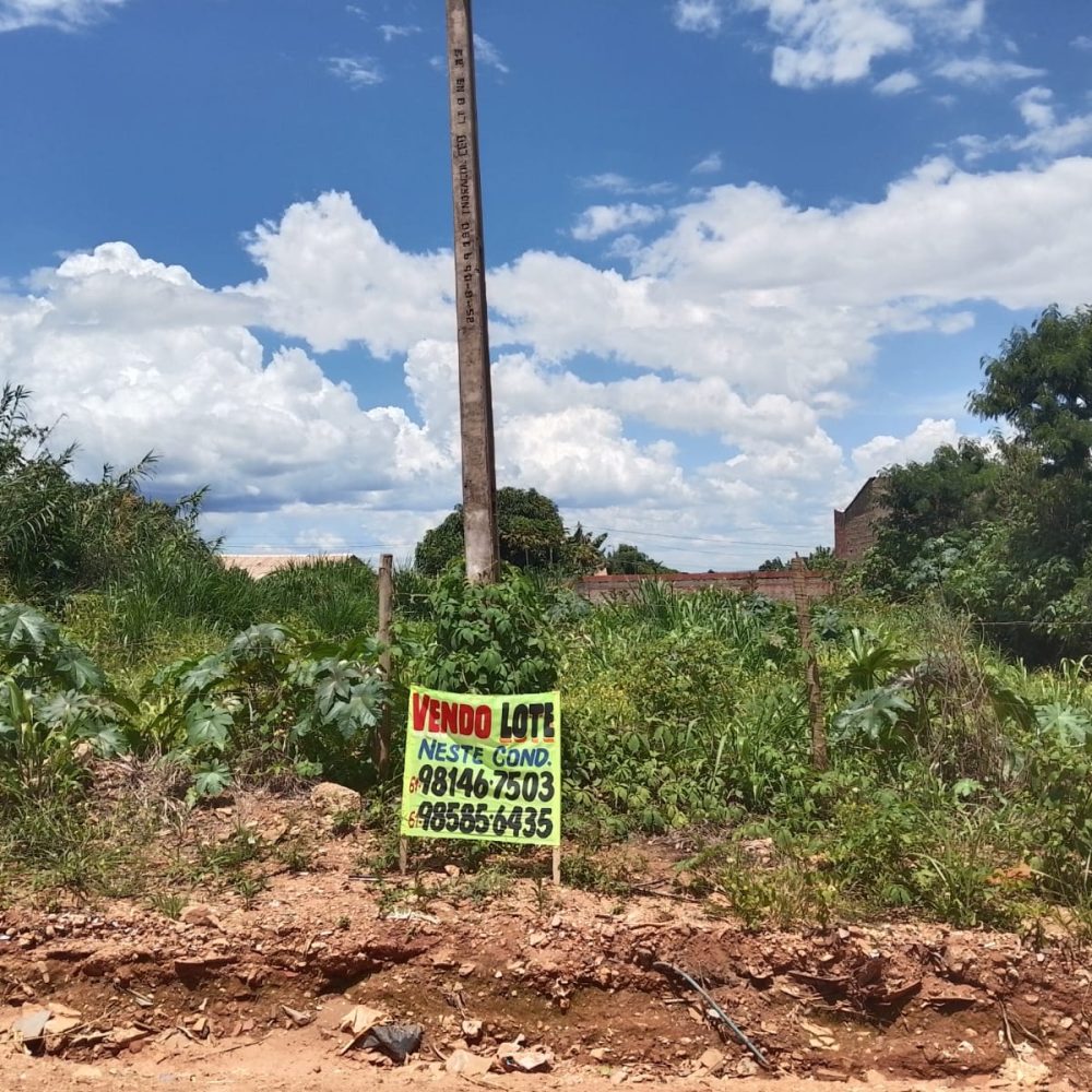 WhatsApp Image 2026-02-18 at 21.43.54